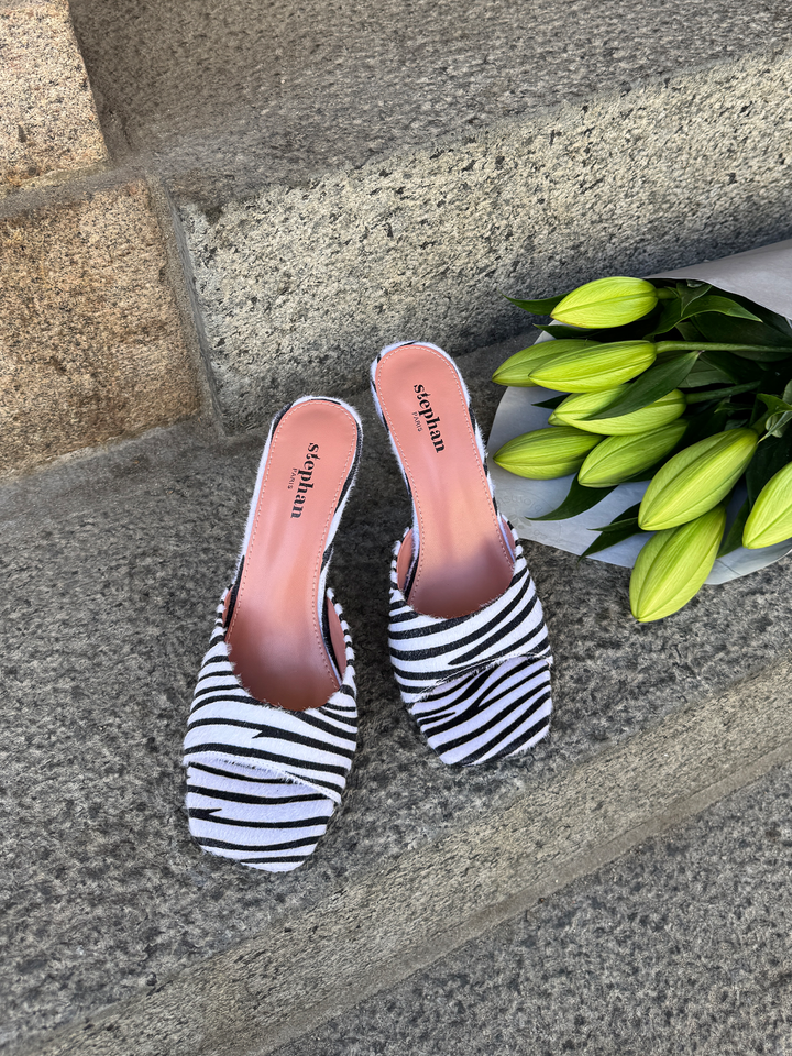 Pauline Mule - Zebra
